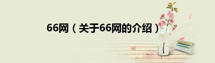 66网（关于66网的介绍）