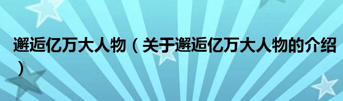 邂逅亿万大人物（关于邂逅亿万大人物的介绍）