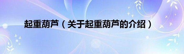 起重葫芦（关于起重葫芦的介绍）