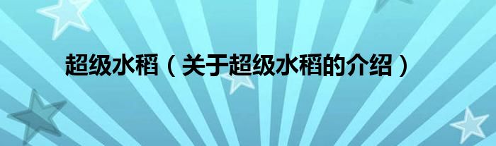超级水稻（关于超级水稻的介绍）