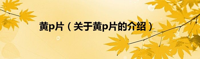 黄p片（关于黄p片的介绍）