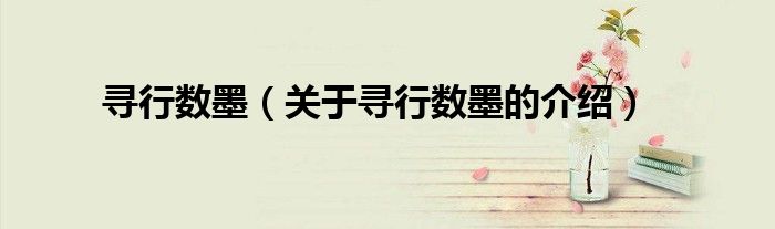 寻行数墨（关于寻行数墨的介绍）