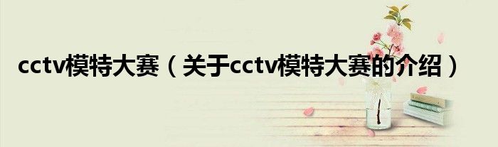 cctv模特大赛（关于cctv模特大赛的介绍）