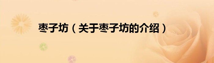 枣子坊（关于枣子坊的介绍）