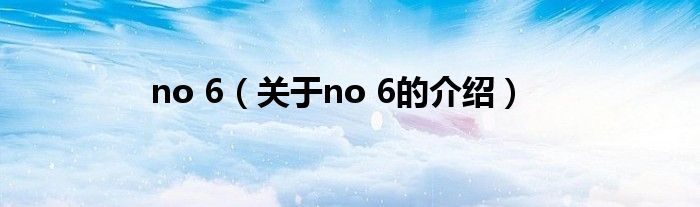 no 6（关于no 6的介绍）
