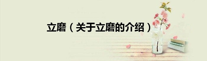 立磨（关于立磨的介绍）