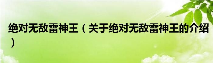 绝对无敌雷神王（关于绝对无敌雷神王的介绍）