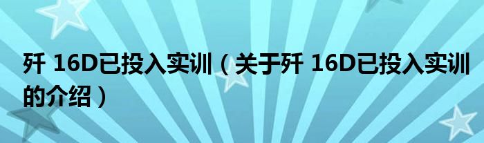 歼 16D已投入实训（关于歼 16D已投入实训的介绍）
