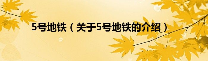 5号地铁（关于5号地铁的介绍）