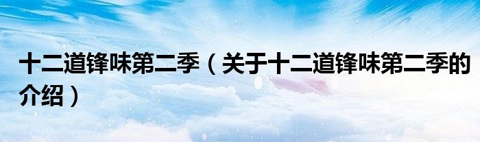 十二道锋味第二季（关于十二道锋味第二季的介绍）