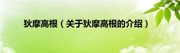 狄摩高根（关于狄摩高根的介绍）
