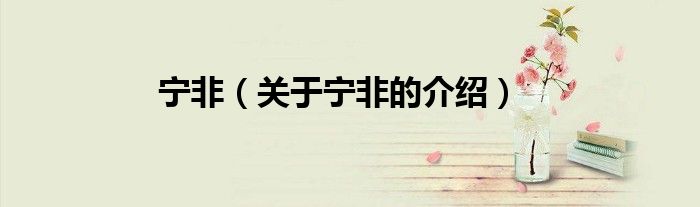 宁非（关于宁非的介绍）