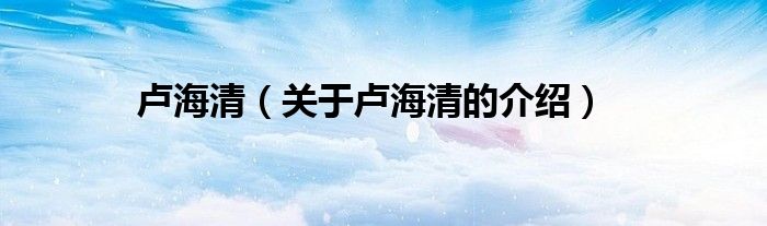 卢海清（关于卢海清的介绍）