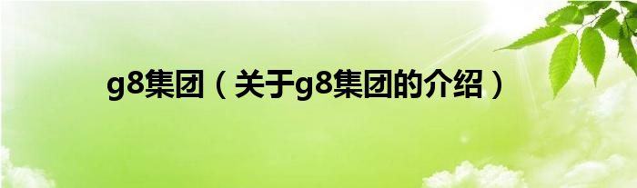 g8集团（关于g8集团的介绍）