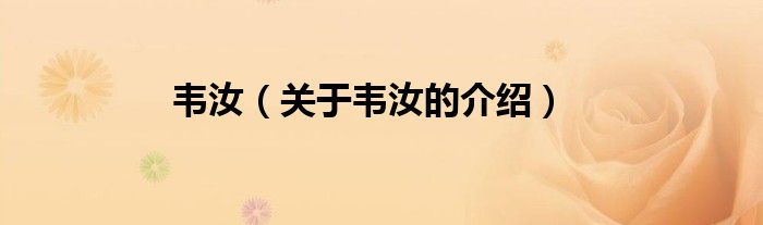 韦汝（关于韦汝的介绍）