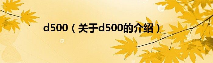 d500（关于d500的介绍）