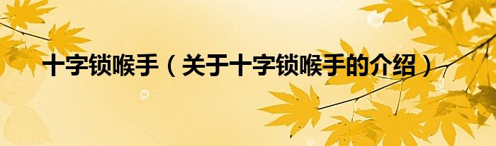 十字锁喉手（关于十字锁喉手的介绍）