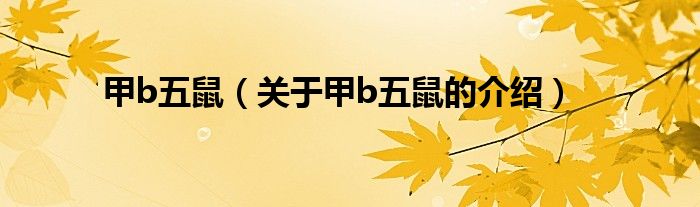 甲b五鼠（关于甲b五鼠的介绍）
