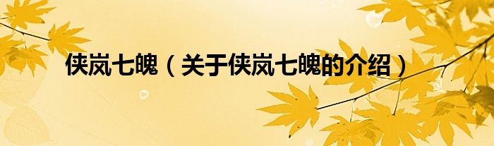 侠岚七魄（关于侠岚七魄的介绍）