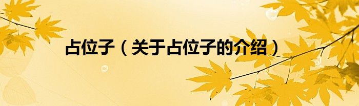 占位子（关于占位子的介绍）