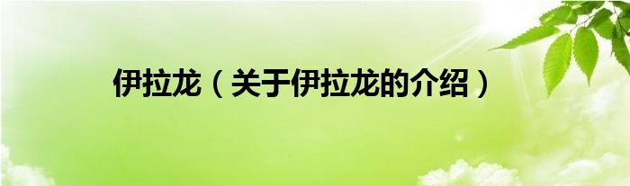 伊拉龙（关于伊拉龙的介绍）