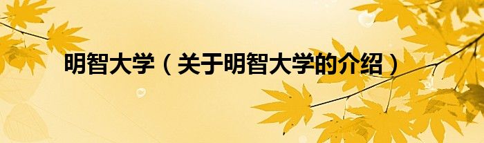 明智大学（关于明智大学的介绍）