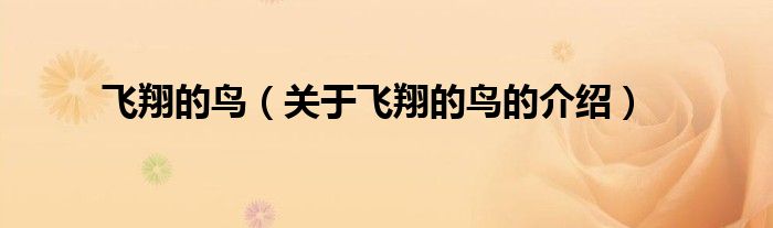 飞翔的鸟（关于飞翔的鸟的介绍）
