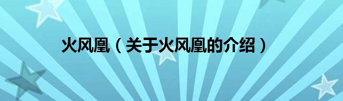 火风凰（关于火风凰的介绍）