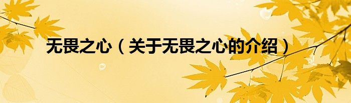 无畏之心（关于无畏之心的介绍）