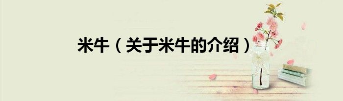 米牛（关于米牛的介绍）