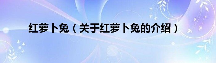 红萝卜兔（关于红萝卜兔的介绍）