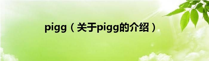 pigg（关于pigg的介绍）