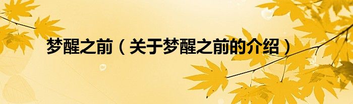 梦醒之前（关于梦醒之前的介绍）