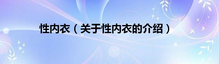 性内衣（关于性内衣的介绍）