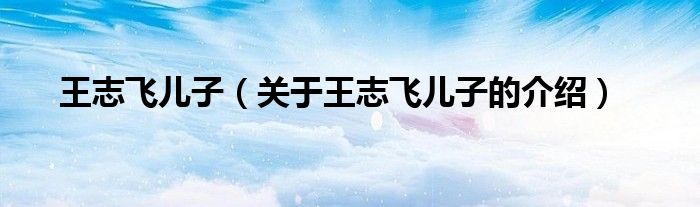 王志飞儿子（关于王志飞儿子的介绍）