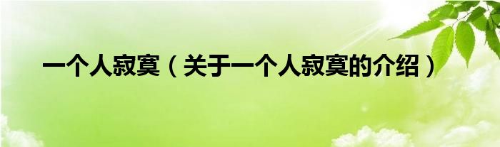 一个人寂寞（关于一个人寂寞的介绍）