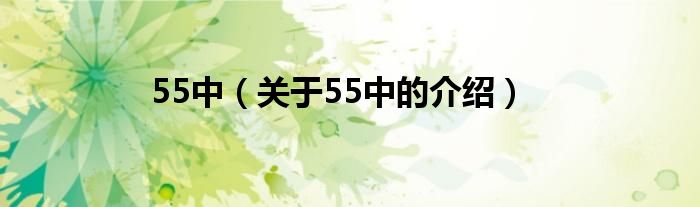 55中（关于55中的介绍）