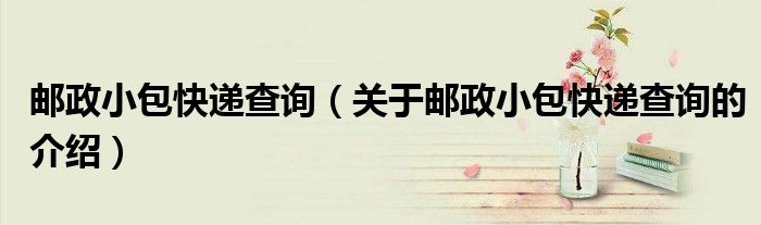 邮政小包快递查询（关于邮政小包快递查询的介绍）