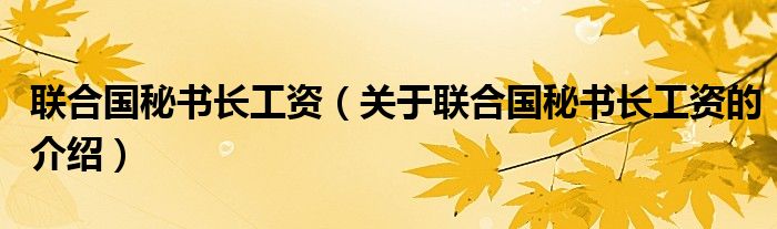 联合国秘书长工资（关于联合国秘书长工资的介绍）