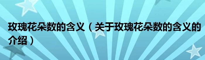玫瑰花朵数的含义（关于玫瑰花朵数的含义的介绍）