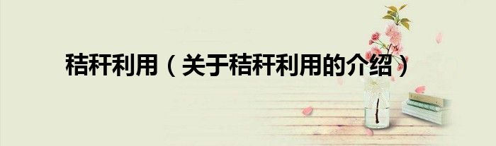 秸秆利用（关于秸秆利用的介绍）