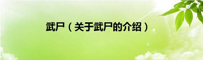 武尸（关于武尸的介绍）