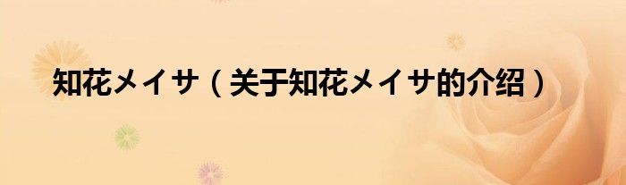 知花メイサ（关于知花メイサ的介绍）