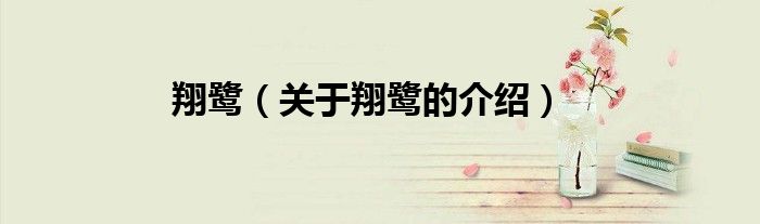 翔鹭（关于翔鹭的介绍）
