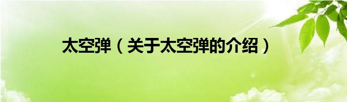太空弹（关于太空弹的介绍）