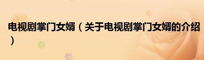 电视剧掌门女婿（关于电视剧掌门女婿的介绍）