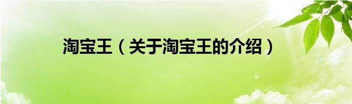 淘宝王（关于淘宝王的介绍）
