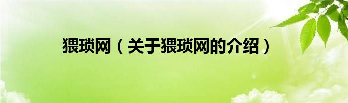猥琐网（关于猥琐网的介绍）