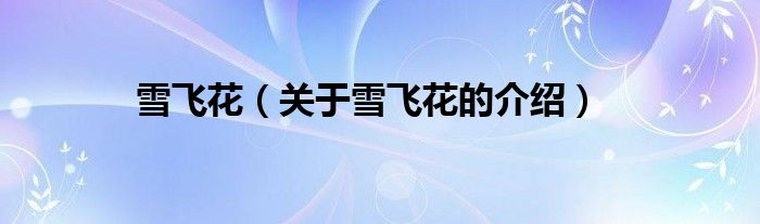 雪飞花（关于雪飞花的介绍）