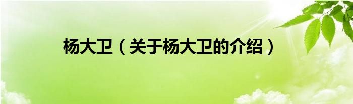 杨大卫（关于杨大卫的介绍）